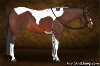 Horse Color:Brown Sabino Tobiano