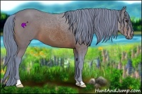 Horse Color:Watercolor Brown 