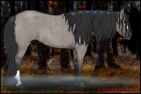 Horse Color:Grullo Roan 