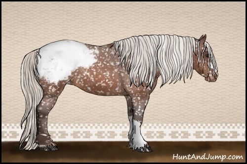 Horse Color:Silver Brown Roan Snowcap 