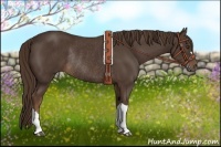 Horse Color:Liver Chestnut Rabicano 