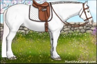 Horse Color:White Spotted Silver Amber Champagne Roan Dun Splash Rabicano