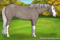Horse Color:Silver Blue Roan Splash