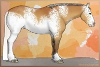 Horse Color:White Spotted Silver Bay 