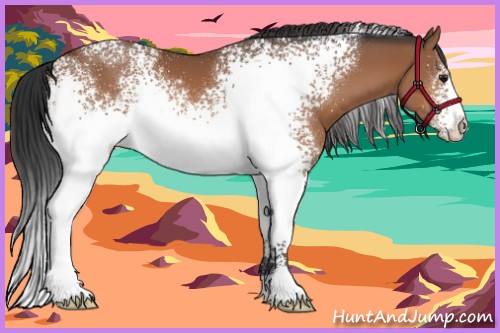 Horse Color:White Spotted Bay 
