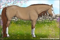 Horse Color:Red Dun Splash 