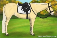 Horse Color:Palomino 