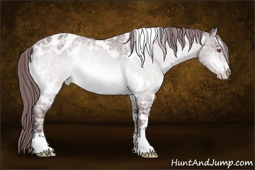 Horse Color:White Spotted Chocolate Brown Chinchilla Ice Sabino Varnish