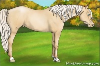 Horse Color:Silver Amber Champagne Pearl 