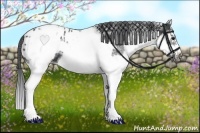 Horse Color:White Spotted Blue Roan Splash Frame Blanket