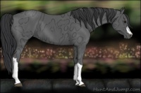 Horse Color:Black Ice 