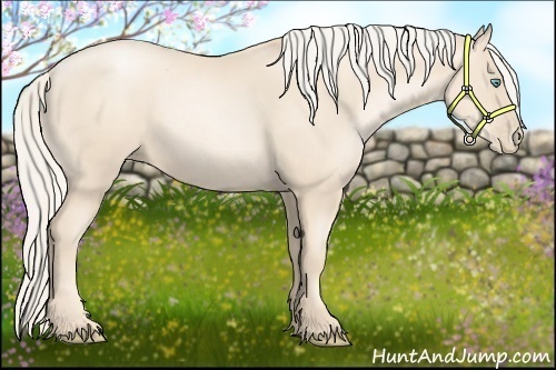 Horse Color:Gold Cream Champagne Pearl