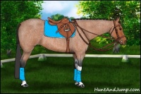 Horse Color:Bay Roan Tobiano