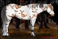 Horse Color:White Spotted Bay Frame