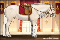 Horse Color:Gold Cream Champagne Pearl