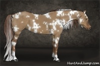 Horse Color:White Spotted Liver Red Dun