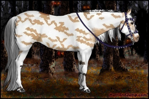 Horse Color:Bay Dun Splash Tobiano Frame 