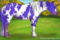 Horse Color:Watercolor White Spotted Liver Chestnut 