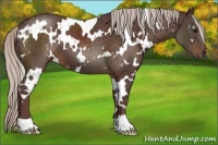 Horse Color:White Spotted Chocolate Silver Brown