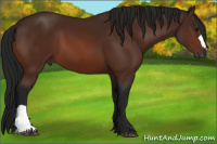 Horse Color:Gray Bay
