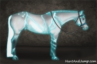 Horse Color:Thunderstruck Silver Brown Chinchilla Appaloosa 