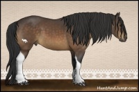 Horse Color:Buckskin Sabino Tobiano