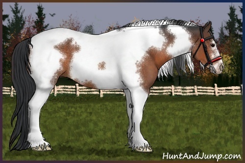 Horse Color:Brown Roan Tobiano Frame 