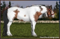 Horse Color:Brown Roan Tobiano Frame 