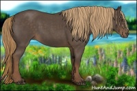 Horse Color:Liver Red Roan 