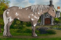 Horse Color:White Spotted Silver Black 