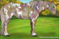 Horse Color:Nacre White Spotted Chocolate Palomino