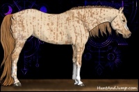 Horse Color:Chestnut  and Red Dun 