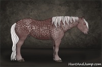 Horse Color:Chocolate Silver Black Chinchilla