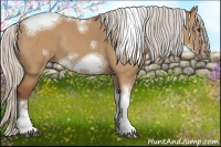 Horse Color:Silver Bay Dun Sabino Tobiano Frame Rabicano