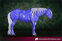 Horse Color:Watercolor White Spotted Silver Black Chinchilla 