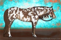 Horse Color:Liver Chestnut Sabino Near Leopard 