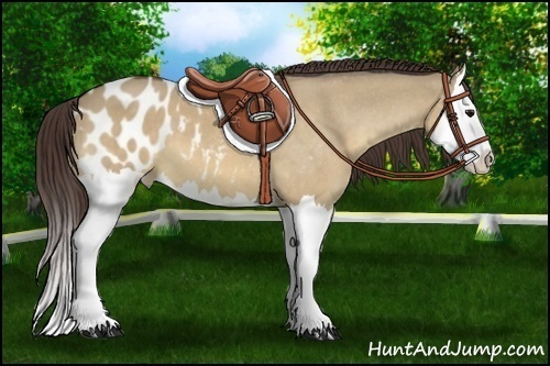 Horse Color:Bay Roan Dun Splash Blanket 