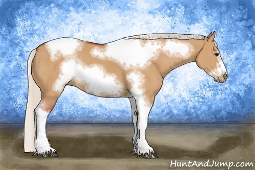 Horse Color:Silver Bay Dun Sabino Tobiano Frame Rabicano 