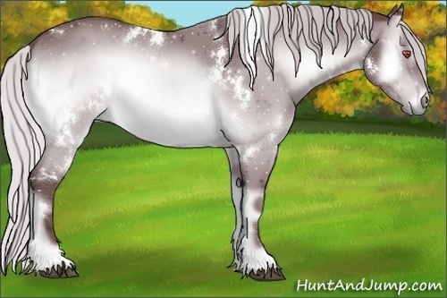 Horse Color:White Spotted Chocolate Silver Brown Chinchilla Onyx