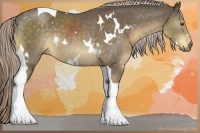 Horse Color:White Spotted Chocolate Palomino Tobiano 