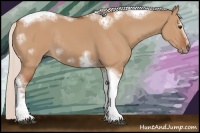 Horse Color:Silver Bay Dun Sabino Tobiano Frame Rabicano 