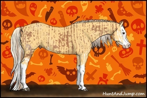 Horse Color:Chestnut Splash and Palomino Splash