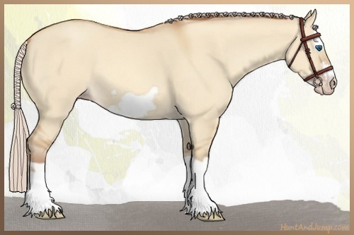 Horse Color:Silver Sable Champagne Dun Splash Frame 