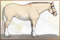 Horse Color:Silver Sable Champagne Dun Splash Frame 