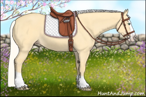 Horse Color:Silver Amber Cream Champagne Dun Splash 