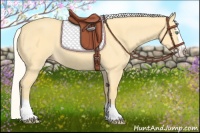 Horse Color:Silver Amber Cream Champagne Dun Splash