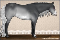 Horse Color:Silver Brown Chinchilla Frame 