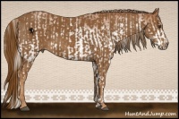 Horse Color:White Spotted Silver Bay and Chestnut