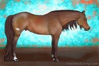 Horse Color:Chocolate Bay Sabino 