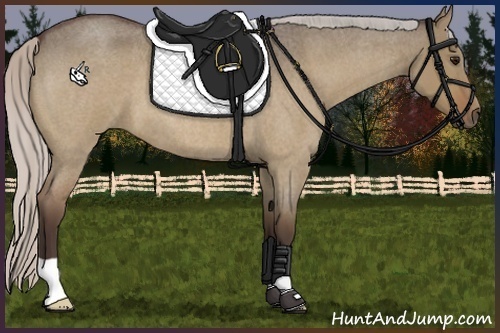 Horse Color:Silver Brown Roan Dun 